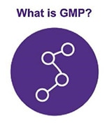 What is GMP icon