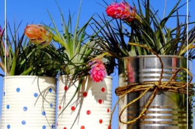 Cans being used as flower pots