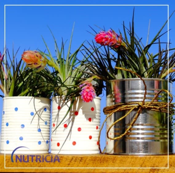 Cans being used as flower pots