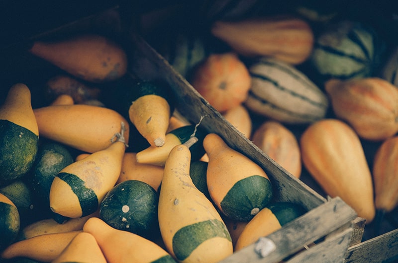 A bin full of squash