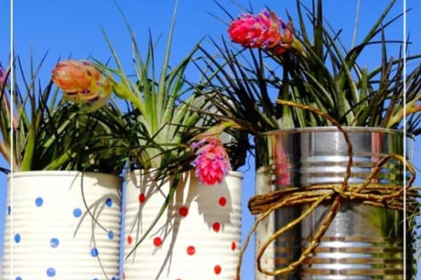 Cans being used as flower pots